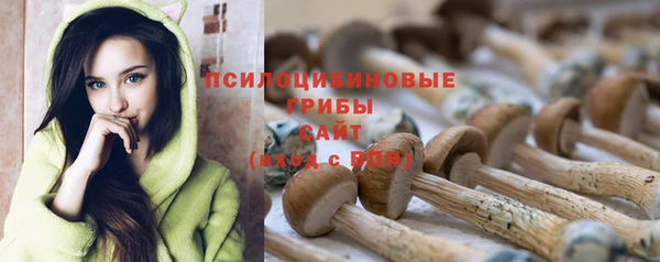 MDMA Premium VHQ Богородицк