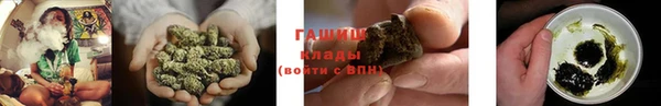 хмурый Белокуриха