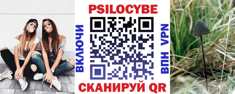 Купить  Шумиха  Галлюциногенные грибы прущие грибы 