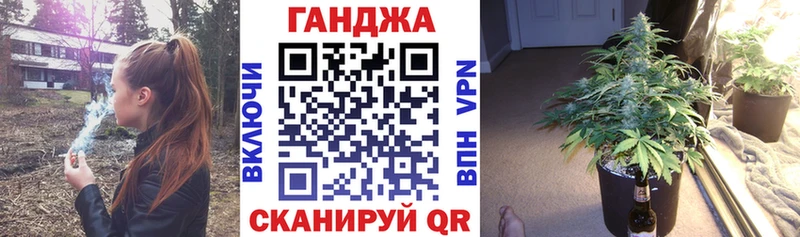 Купить где  Шумиха  Конопля Ganja 